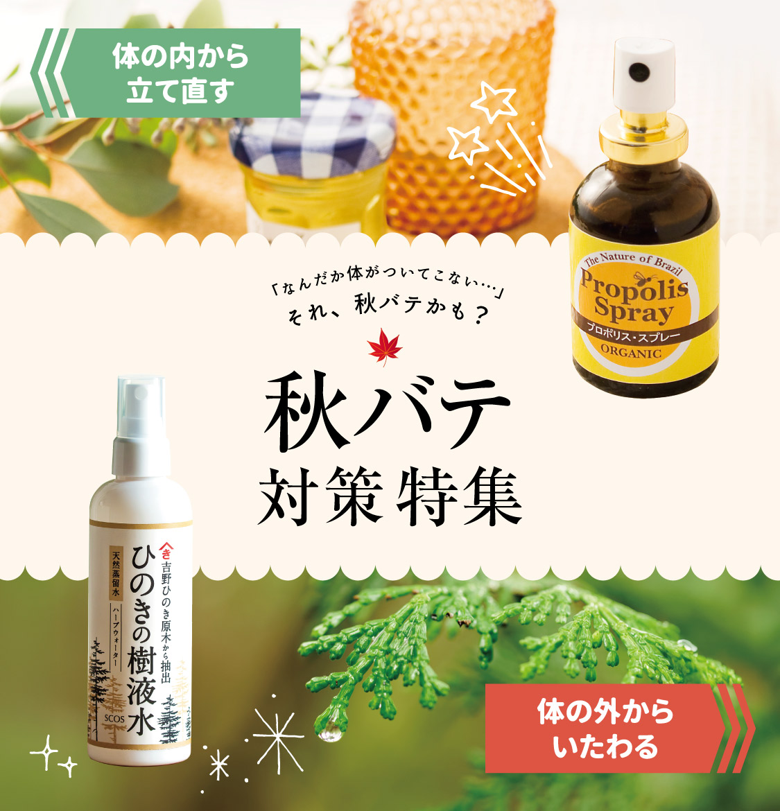 秋バテ特集